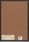Rhabdonema adriaticum Kuetz. (de-Toni-Nr.: Genus 95, Species 3072) Zeichnungen Sammlung Grunow Mappe 03299 (Herbarium_W_Grunow_drawings_Folder_03299)